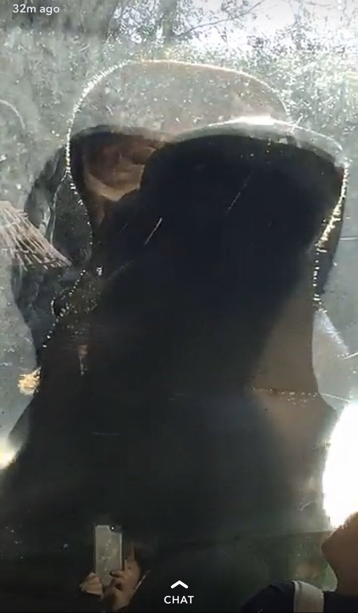 CashlinRap's tweet photo. Photo credit to Z
#animal #fishThing https://t.co/t7SftnBTyl