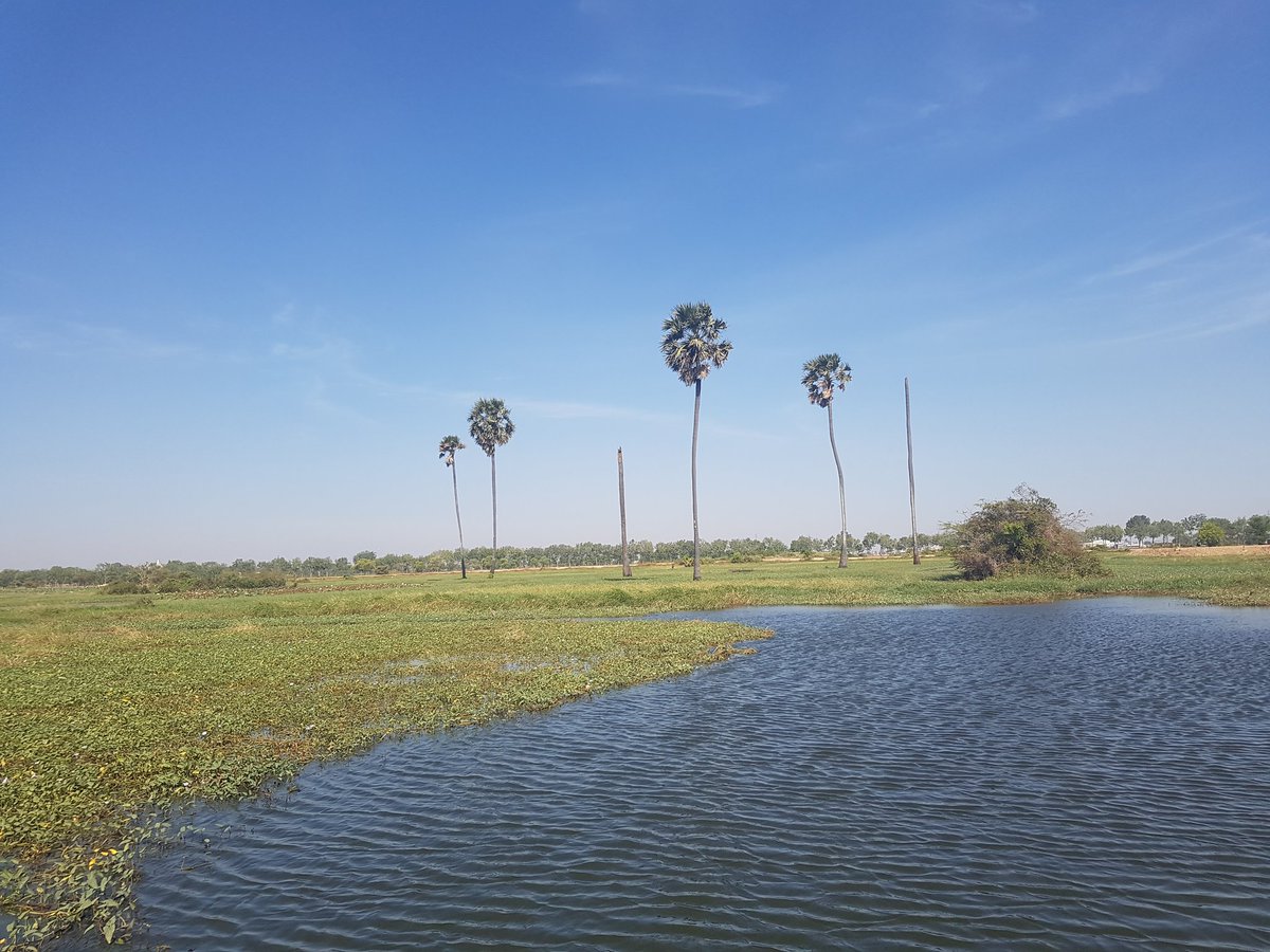 MechDara1's tweet photo. One of fishermen say Ms #ChipMong has owned many hectares of land here while many villagers have sold their farm lands and used the money to buy motorbike or cars.... https://t.co/FVqPormoDa