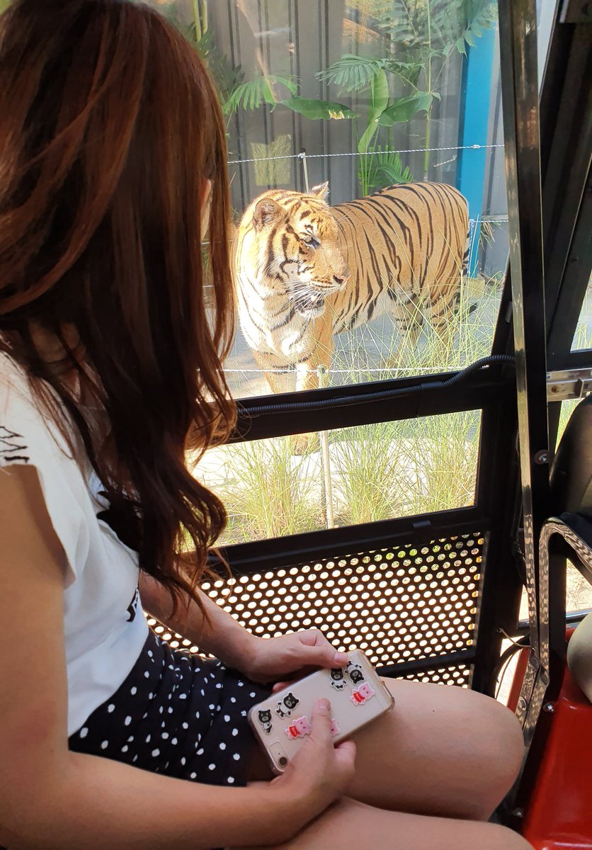 与沢 翼 Tsubasa Yozawa Ar Twitter Tシャツのプリントでしか見たことのない顔だ マジ怖い ﾟdﾟ