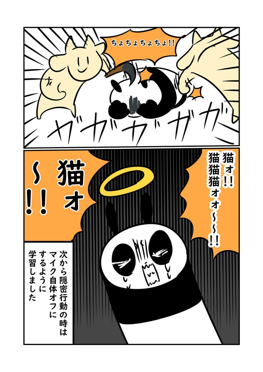 猫が原因でゲームでリンチされた話

ブログより?? 