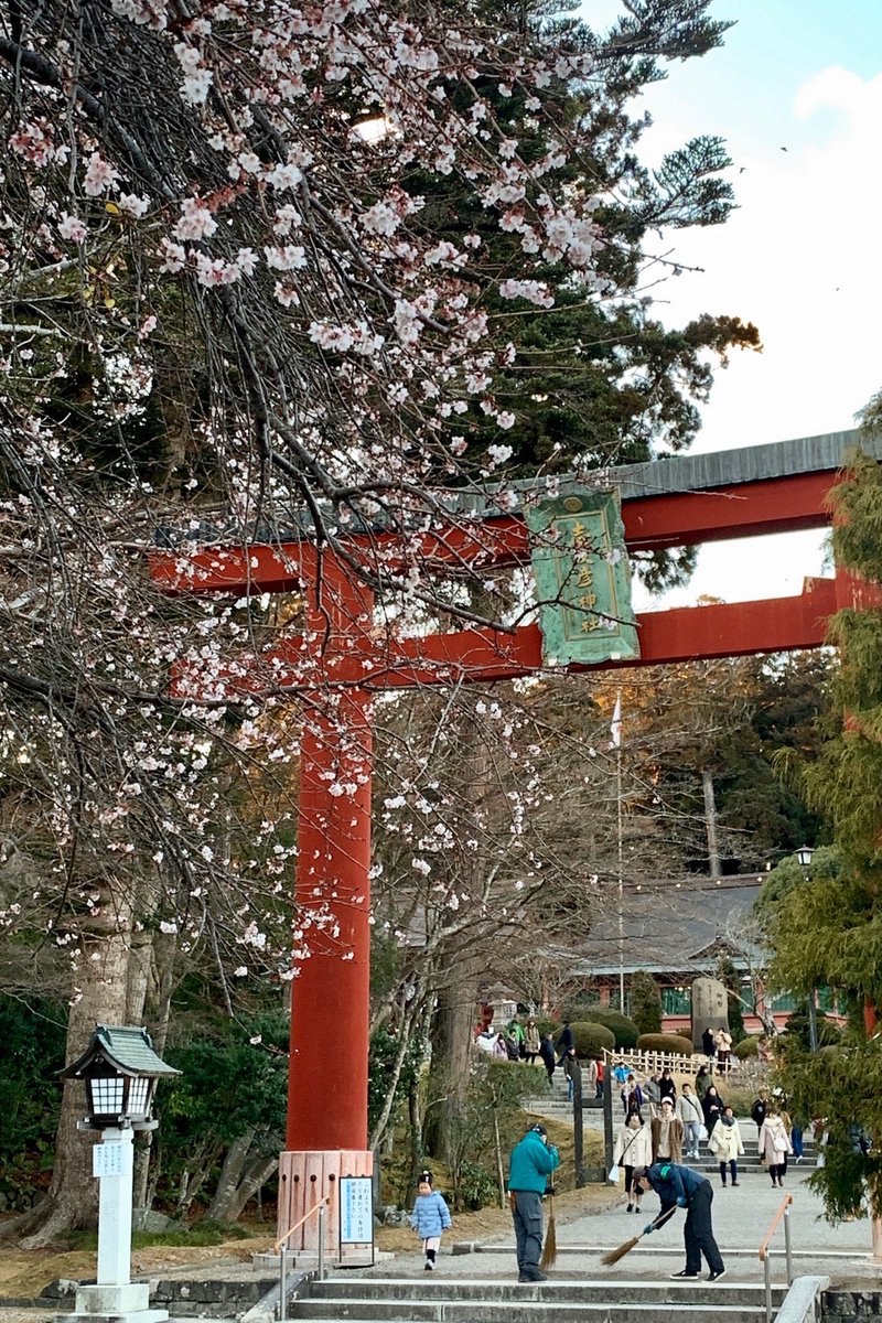 角銅 浩平 tweet media