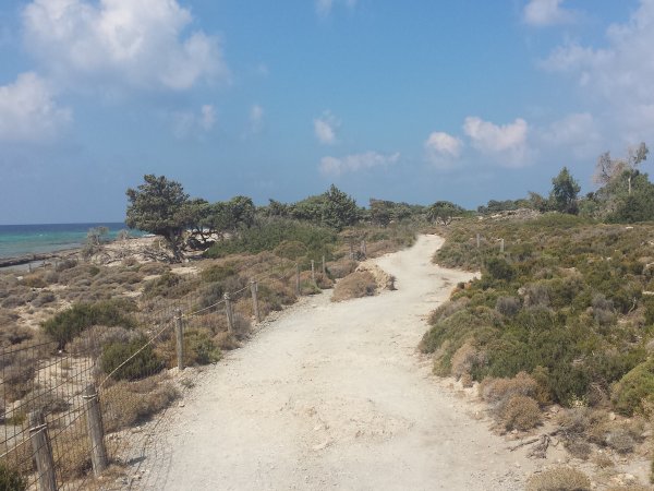 SG Crete Holidays tweet media