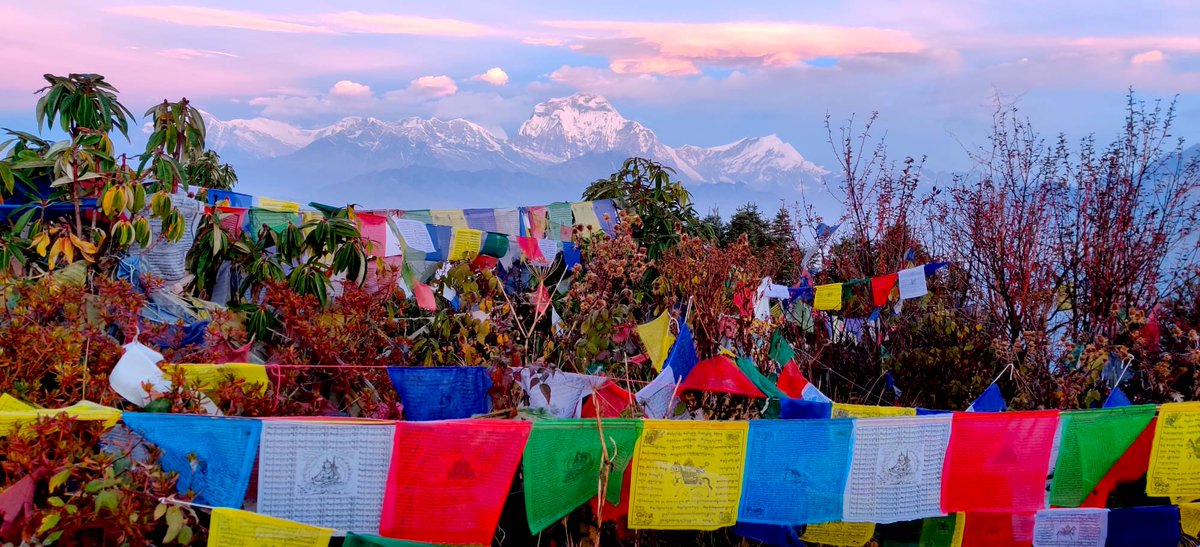 NERForg's tweet photo. How to make 2020 truly unforgettable... 🌄🗻⛺ - https://t.co/0xPgJl35kH
#charity #trekking #nepal #newyearsresolution https://t.co/PfKgSX7njD