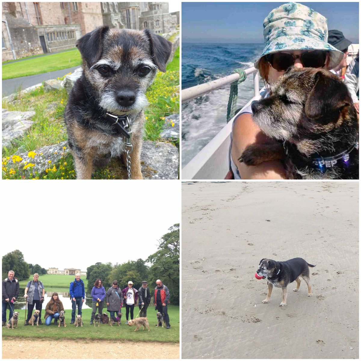 bt_pepper's tweet photo. #BTYearinReview Two great holidays, hot summer, my 1st fantastic tweetup, lots of adventures and loads of fun wiv #BTposse. Thanks to all pals! https://t.co/dX6GgDhbZd