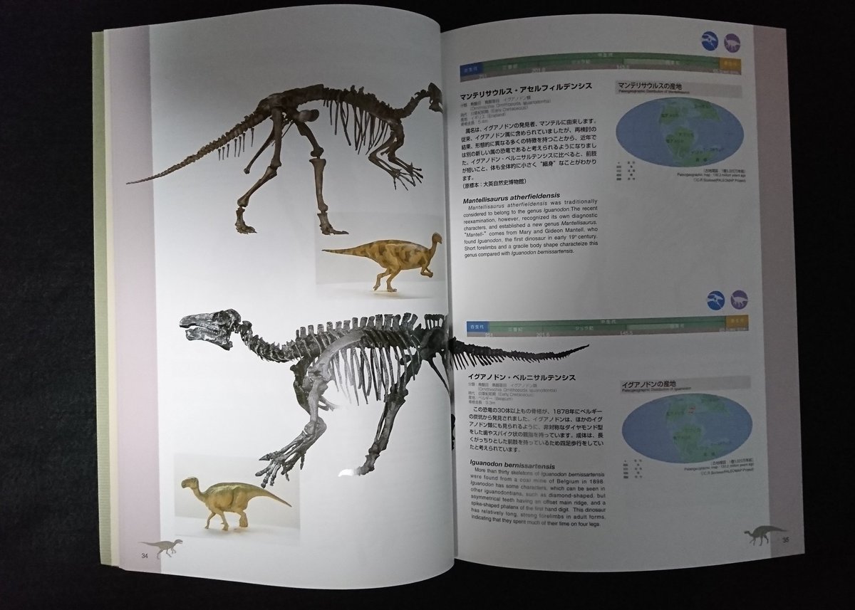 Tsukudados 福井県立恐竜博物館の展示解説書が一番図鑑ぽいかな