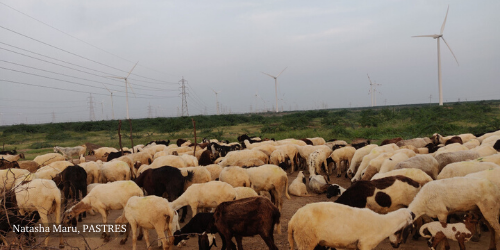 IDS_UK's tweet photo. In this series of blog posts, we will introduce the PhD students in the #PASTRES project, who are currently doing fieldwork in sites around the world. In this post, we're introduced to @natasha_maru, with a short video where she explains her work.
https://t.co/hHhAo6IZ4q https://t.co/jaWBcMMfl1