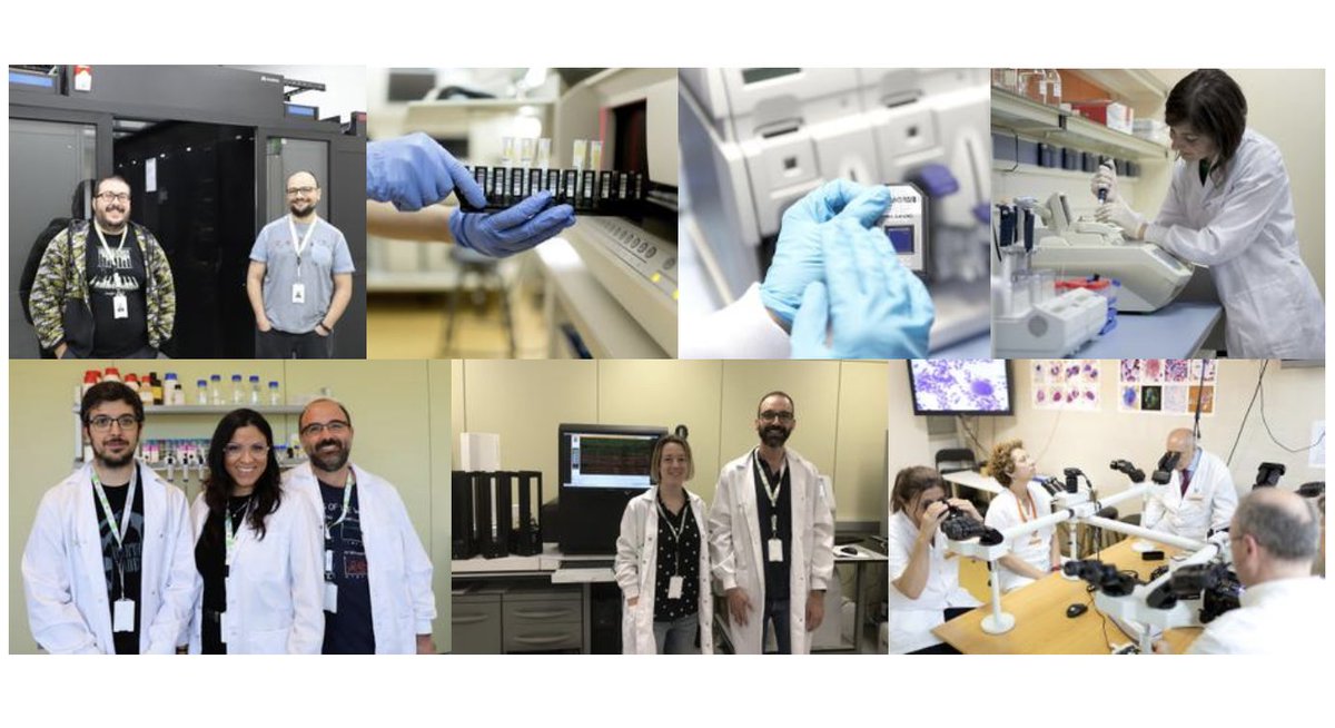 CarrerasIJC's tweet image. In addition to research, we also offer scientific-technical services for researchers from all over the world: #Affymetrix #Microarrays, #Cytogenetics, #SingleCell, #Leukaemia #samples collection, #Proteomics, #Genomics, & #Bioinformatics Know more 👉 carrerasresearch.org/en/resources-a…