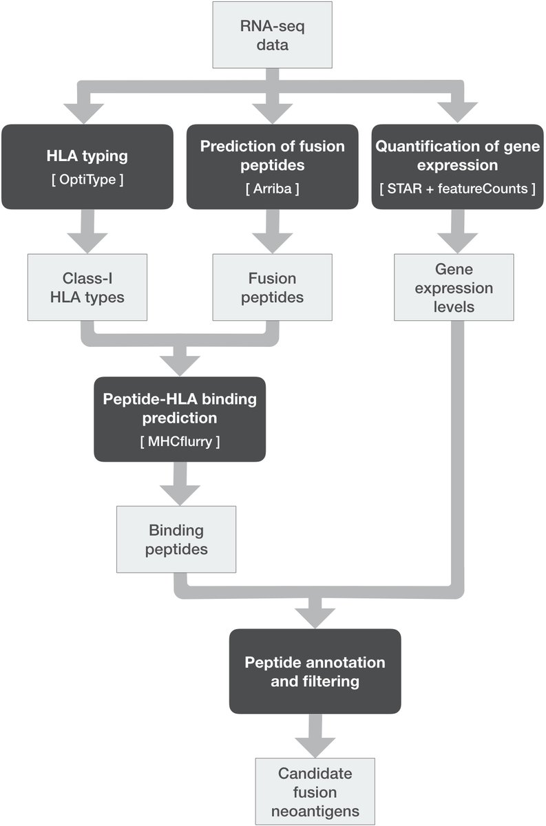 Francesca_Fin_'s tweet photo. #NeoFuse our pipeline for #prediction of #fusion #neoantigens from #cancer #RNAseq data has been published in @OUPBioinfo
https://t.co/ITWohk4Xca
Final PDF now online #openaccess https://t.co/go2jvLzHCA