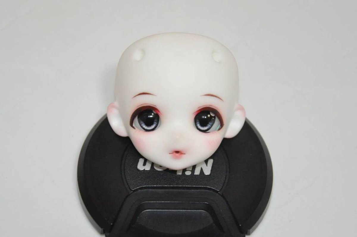 wood habitat bjd