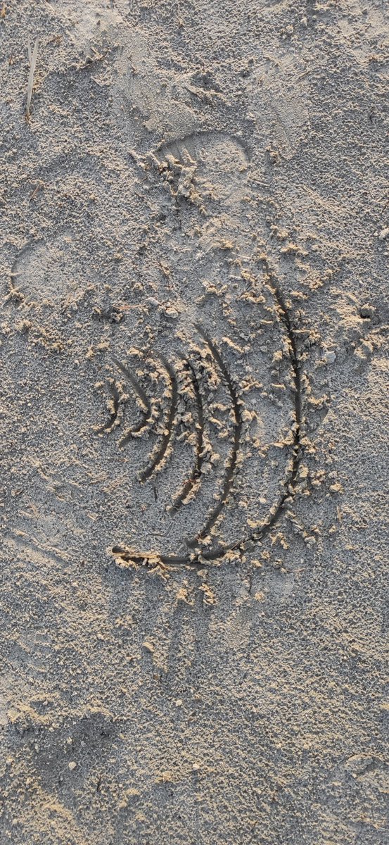 iburlakov's tweet image. Даша рисует картинку моей работы 😁