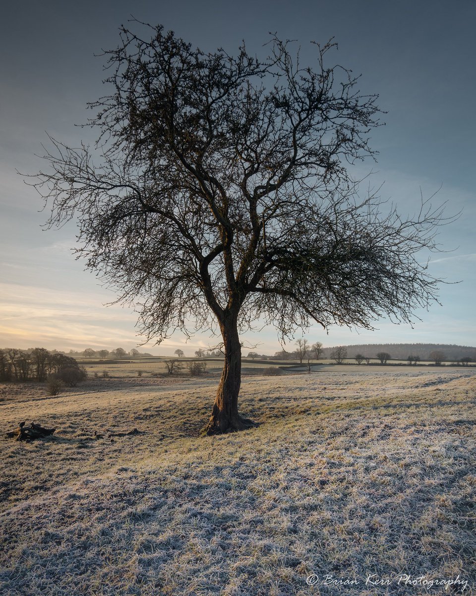 BrianKerrPhoto's tweet photo. A Frosty Morning 

A couple of days ago on a frosty morning wander near Lazonby, one of those beautiful misty mornings that you often see in the Eden Valley.

@CumbrianPeople @FujifilmX_UK @cumbriatourism @VisitCumbria #fujifilm_xseries #photography #tree #winter #edenvalley https://t.co/wNeXzyvXGA