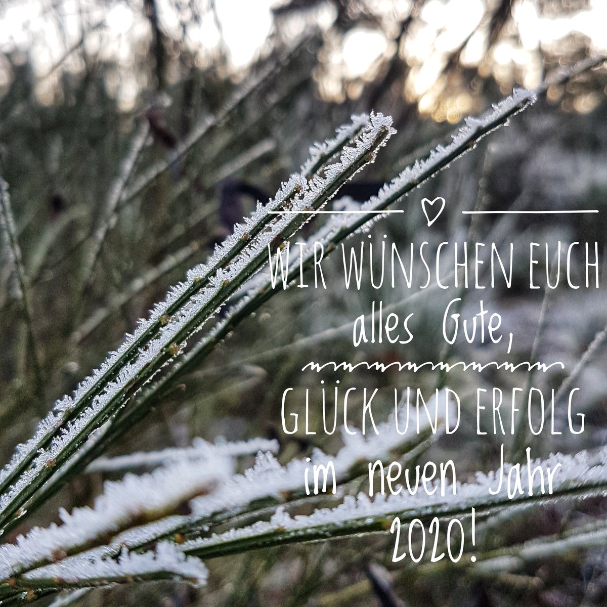 Wir wünschen alles Gute, Glück und Erfolg im neuen Jahr. - Foto: Brückner-Ihl