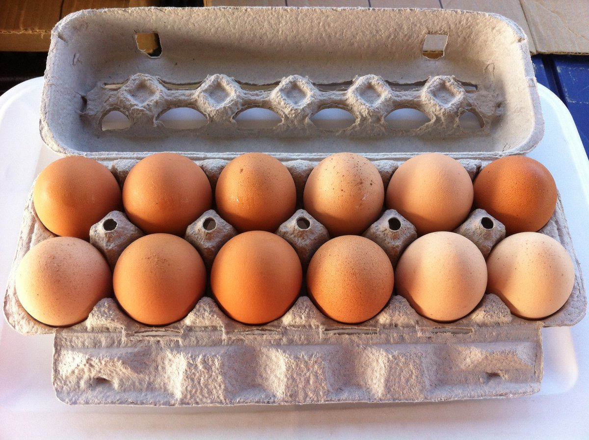 Whittlep's tweet photo. OSU/OKC Farmers Market: We'll be at the Farmers Public Market at 311 S. Klein this Saturday, 1/4/20, with a free doz medium eggs with any beef purchase! - https://t.co/3oufhp0lvh https://t.co/HHRtdPgLrz