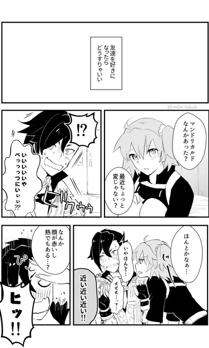 やらかしたマンドリカルドくんの話
マンぐだ♀(1/2) 