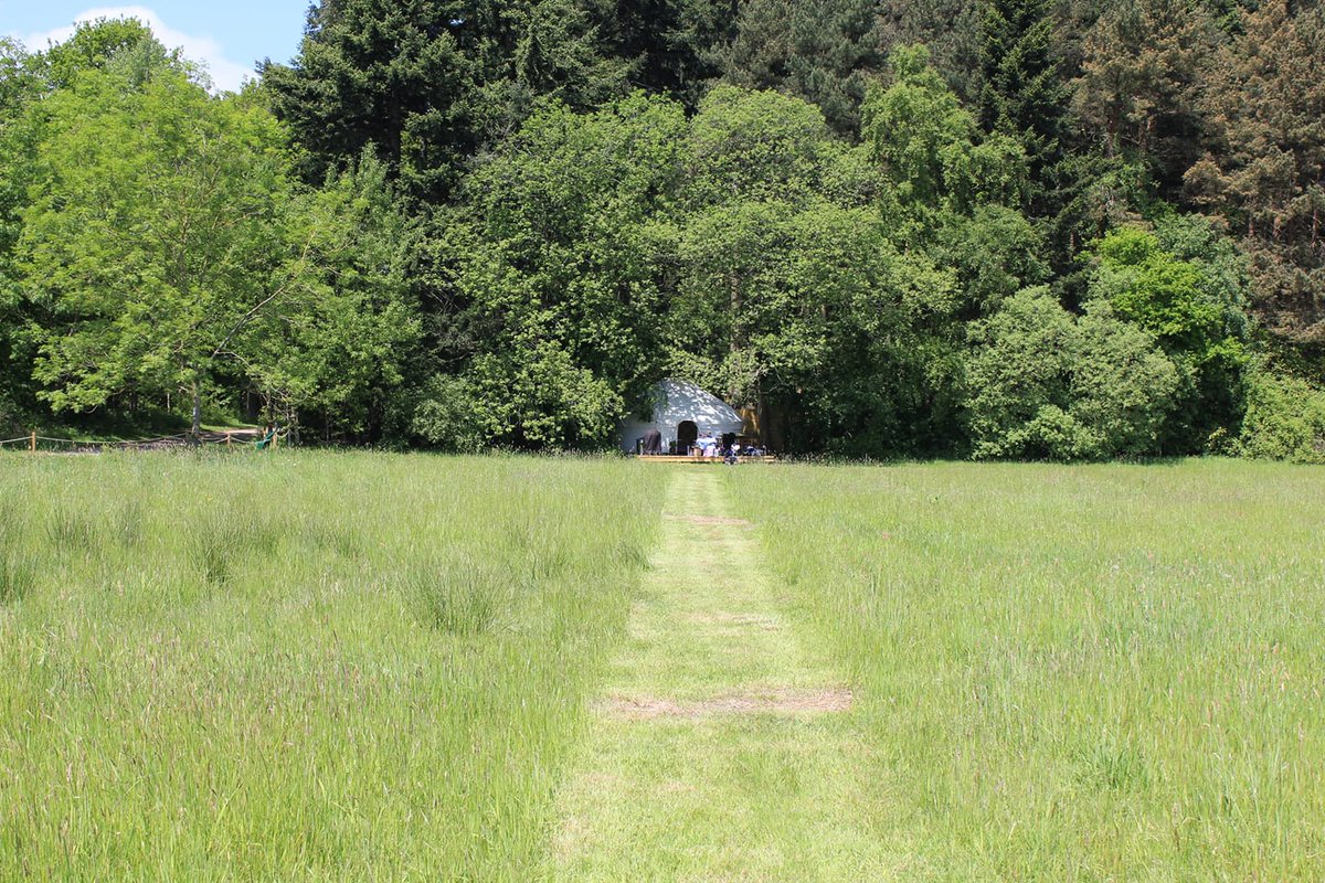 Yurtshire tweet media