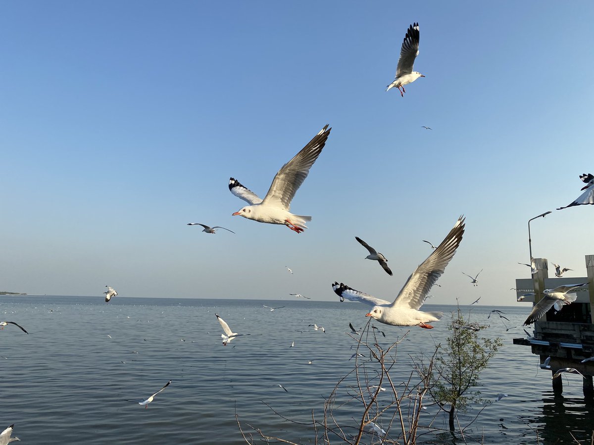 ๑TNONAYEATNATNUO๘📱 tweet media