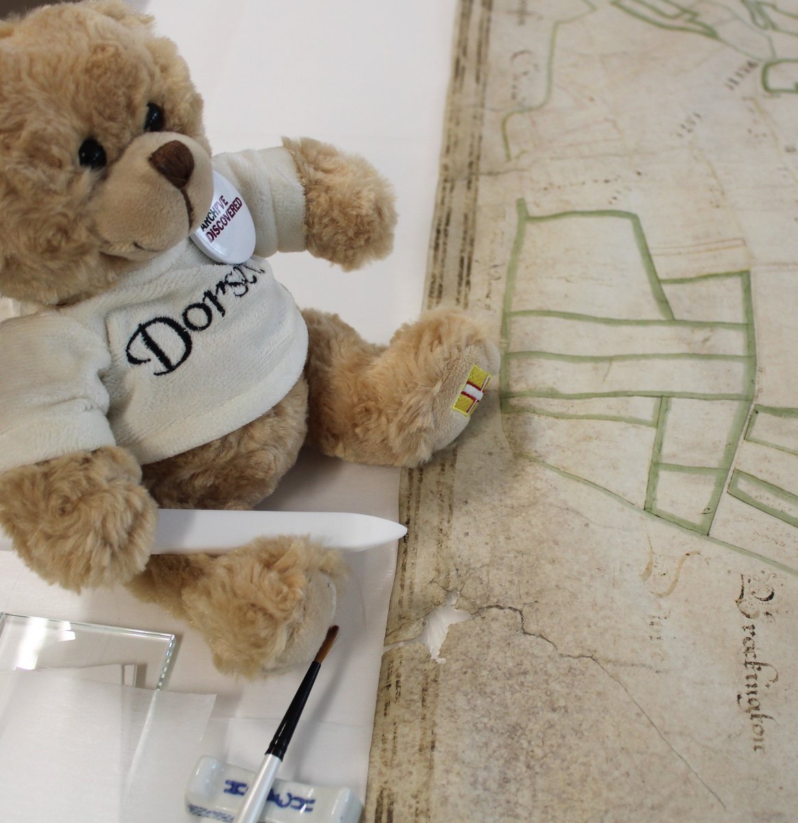 DorsetArchives's tweet photo. #BacktoWork blues? Not us! We're excited for another year of collecting and caring for #Dorset's archives - #archivebear Regis is raring to go π
#ExploreYourArchive https://t.co/gO7CwpwRYT