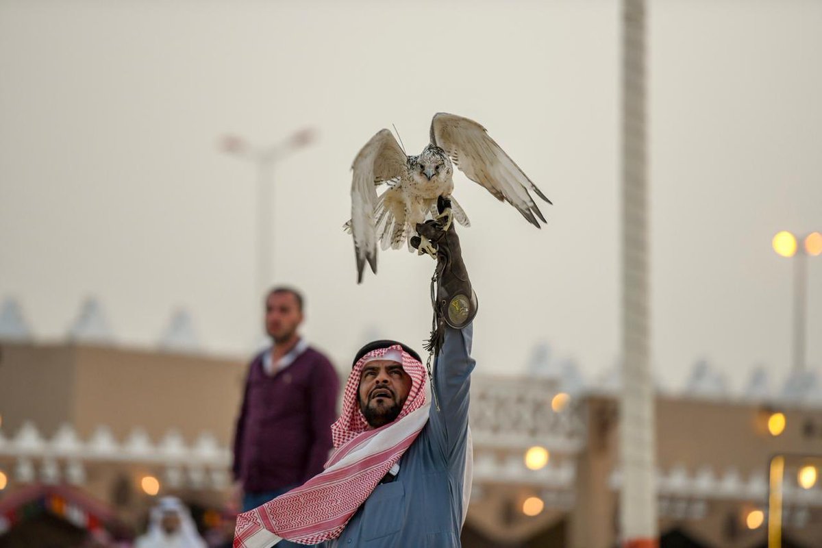 مهرجان ربيع النعيرية tweet media