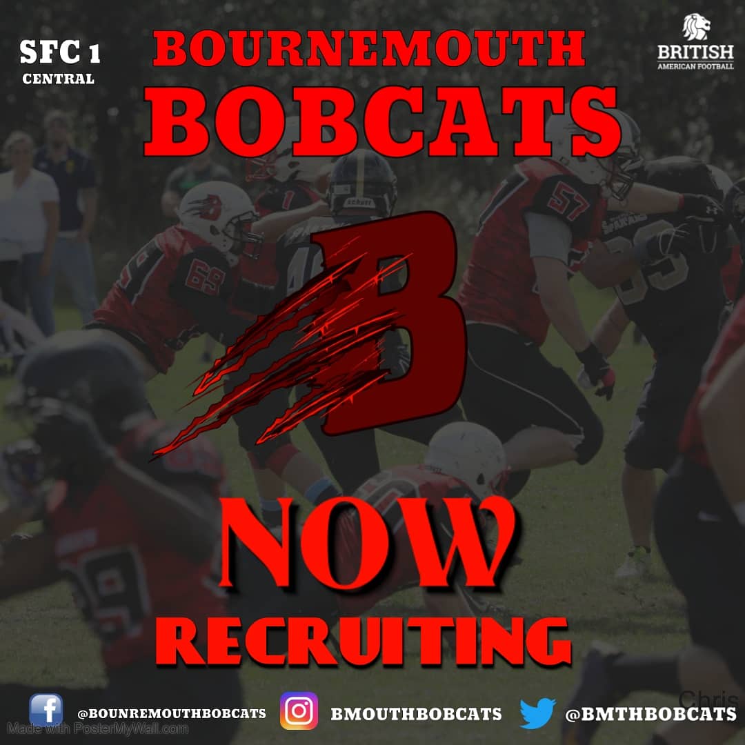 BournemouthBobcats tweet media