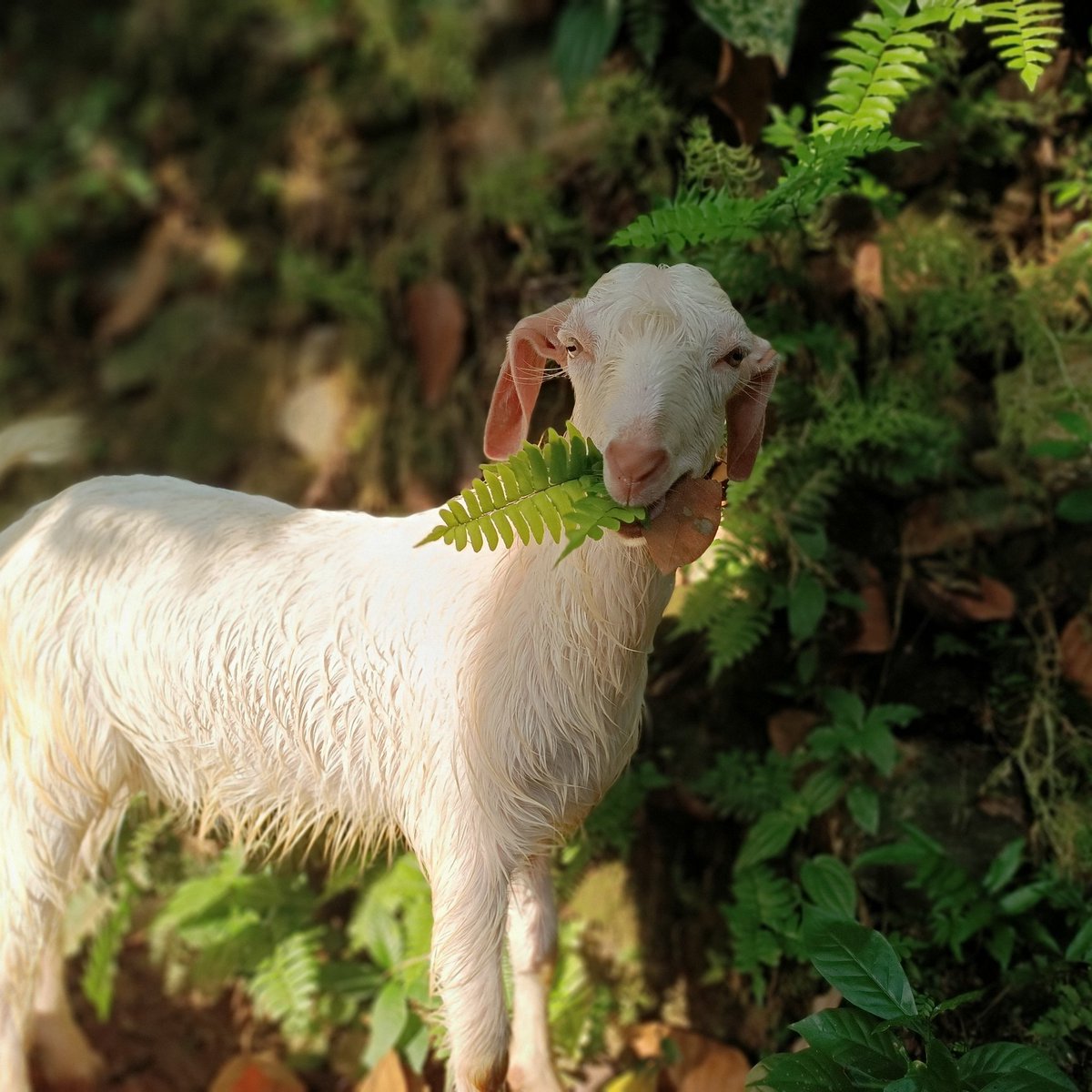 GOATFARMING1's tweet photo. https://t.co/4xekduLQvs