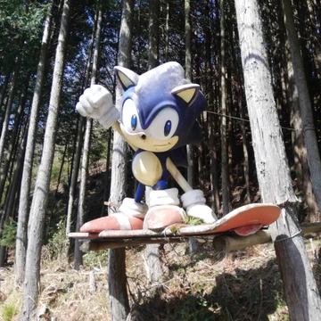 画像 / Picture