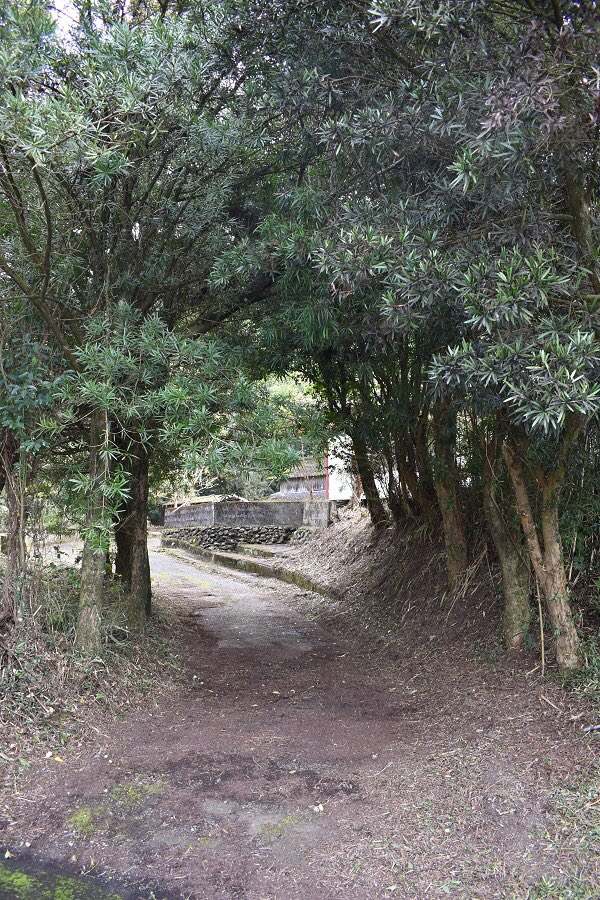 自然を携えて暮らす