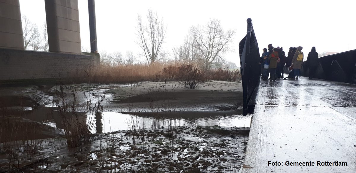 Het jaar goed begonnen! Deze groep ging vanmorgen mee met de #Winterwandeling op het #EilandvanBrienenoord. We vertelden alles over de natuur op het eiland en de geplande veranderingen. Meer info: nieuwsbrievenrotterdam.nl/nieuwsbrief/64…
#goedvoornemen #buiten #natuurindestad #komopnaarbuiten