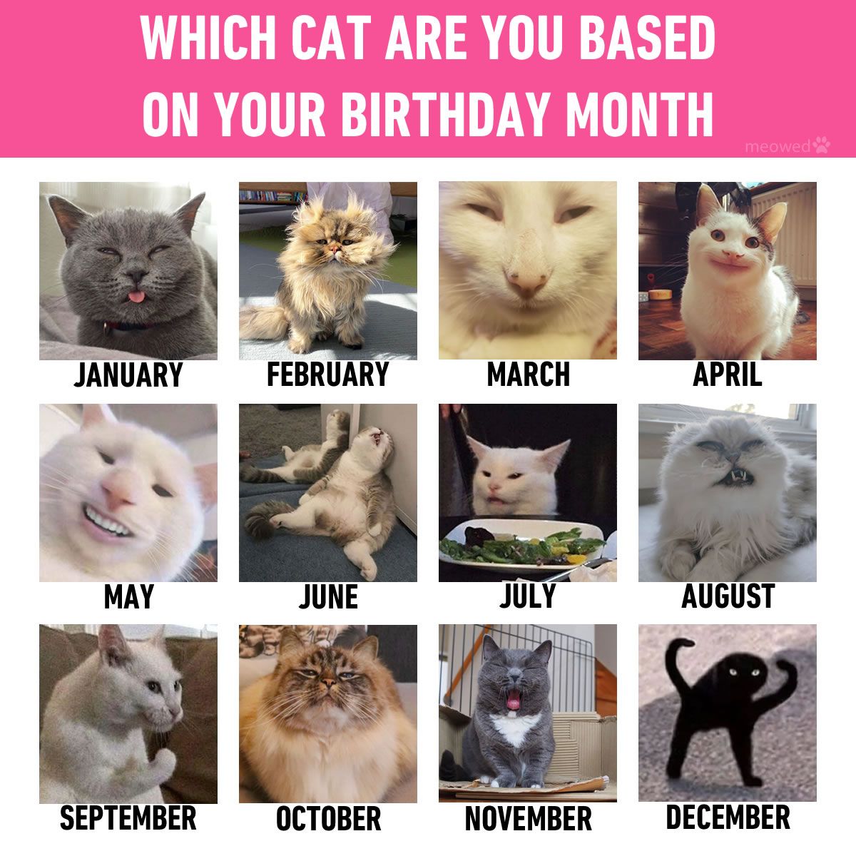 Which cat are you based on your birthday month. 
