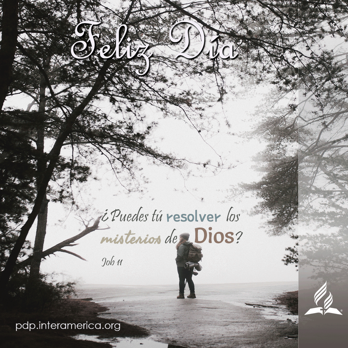 pdpinteramerica's tweet photo. Podemos comprender, de sus propósitos, lo que seamos capaces de asimilar; más allá de esto, hemos de confiar en la mano omnipotente, en el corazón lleno de amor (ED 153) EGW #SomosInteramerica #misterios #comprender #mysteries #understand  #AdventistIAD #AdventistasDIA https://t.co/DZ4JrcXzv7