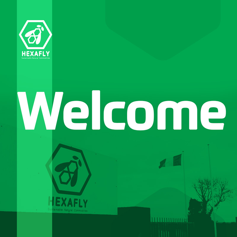 Our aim is to bring an insect-farming revolution from Ireland to the world! Welcome to the future!