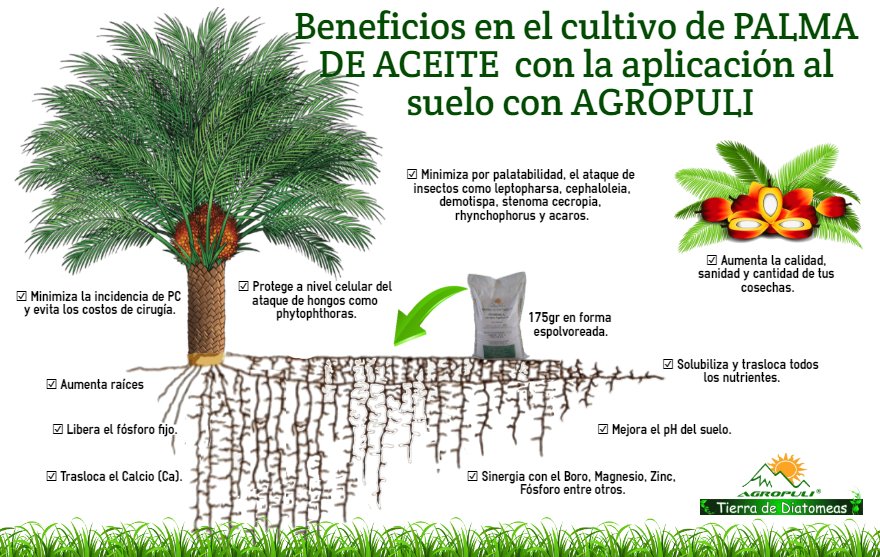 agropuli's tweet photo. https://t.co/smV0RHLSjm