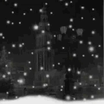 Na een prachtig jaar zijn we weer volop aan de gang, samen maken we er ook in 2020 weer iets moois van. Uitdaging genoeg dit decennium oa. Verdere verbetering van onze dienstverlening, de huidige locatie, en elektrificatie van het wagenpark. Groet en graag tot ziens 👋🏻