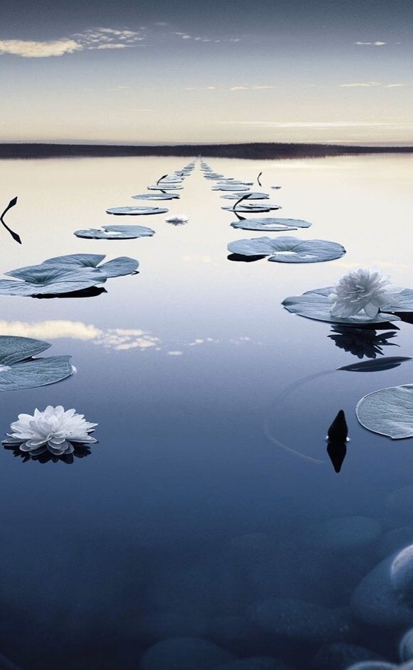 « Je vous souhaite surtout d’être vous, fier de l’être et heureux, car le bonheur est notre destin véritable. » J. Brel