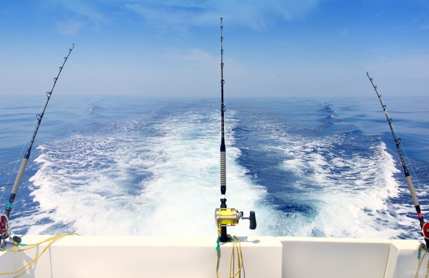 PROMARINE8's tweet photo. Avvicinarsi Alla Tecnica Della Traina Con Il Vivo
La traina è una tecnica di pesca che consiste nel trainare un'esca a varie velocità per stimolare il naturale istinto di cattura dei predatori. 
https://t.co/hmSwok9SD2 https://t.co/9Kalo4SFQu