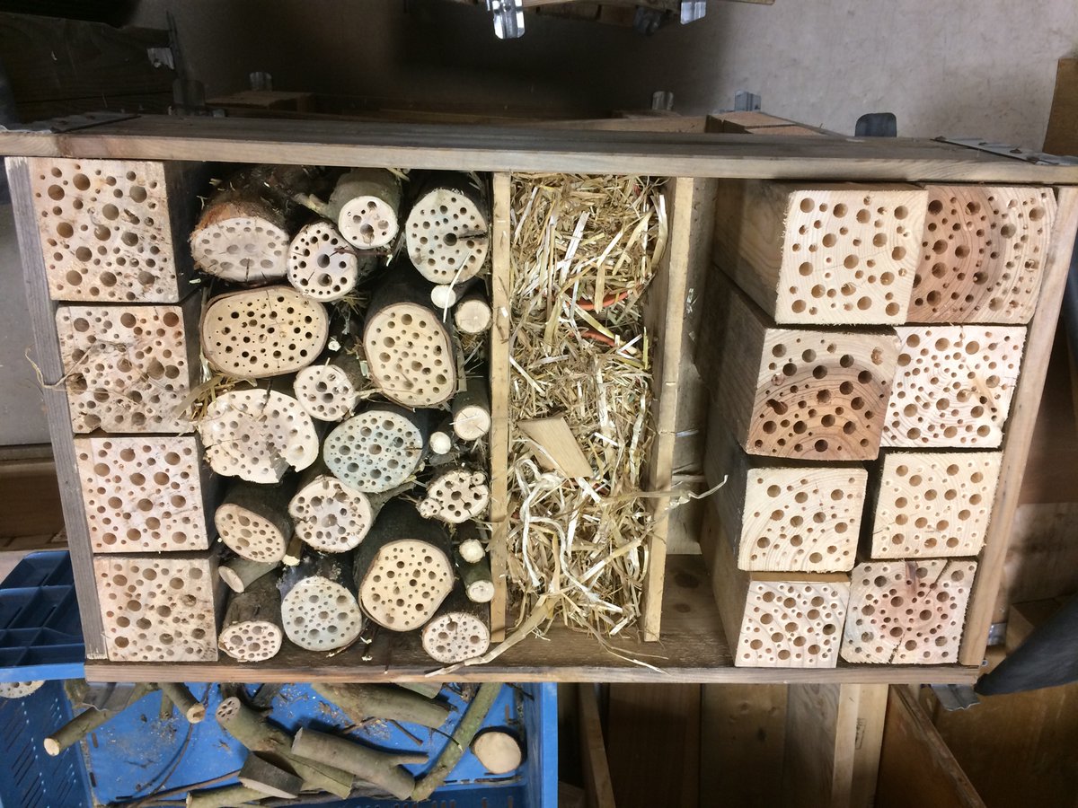 GewoonDoen8's tweet photo. Opdracht insectenhotel. https://t.co/ZSWg7gwuWd