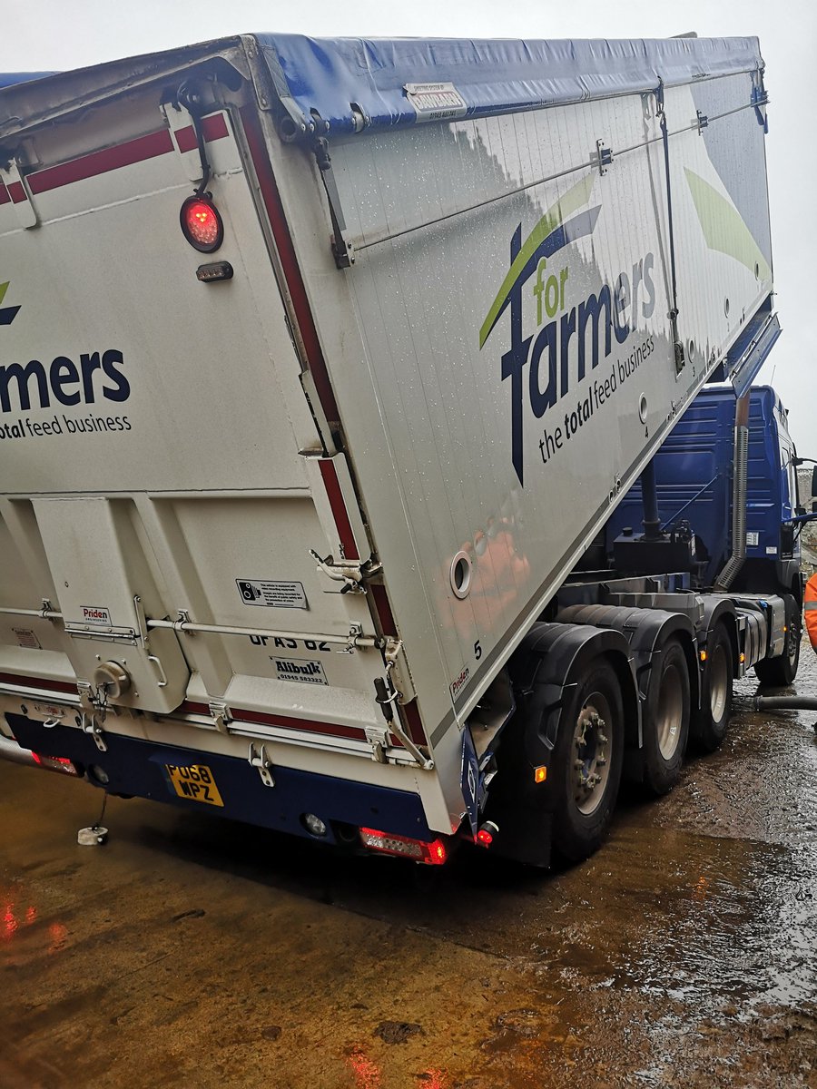 Ewbol gold lt for the ladies#best feed around 💪💪