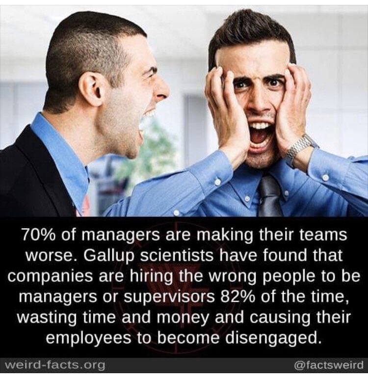 CashlinRap's tweet photo. #managersmeme #workmeme https://t.co/r1wL7pUjoV
