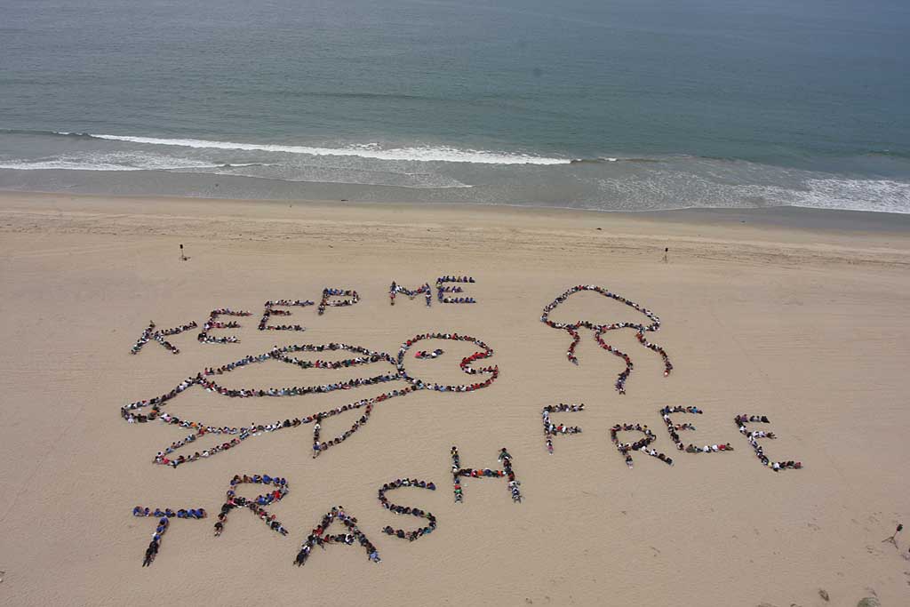 TheCleaningQ's tweet photo. Ocean trash is a serious pollution problem that affects the health of people, wildlife and local economies.

#TheCleaningQuest #cleanerbeach https://t.co/01P6NgD9ca