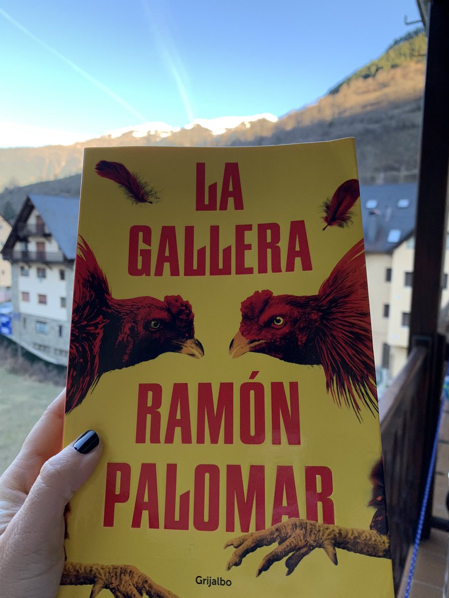 soniadasim's tweet photo. #LaGallera Terminándolo para próxima cena literaria #plumaycubiertos 
#NovelaNegra, prosa canalla, enganche desde la aparición de “Sacra” #avesdecorral 🐓 ... y las plumas de los gallos 
por el aire volaban aun (El canto del Gallo, Radio Futura ) https://t.co/onVxfuwYfF