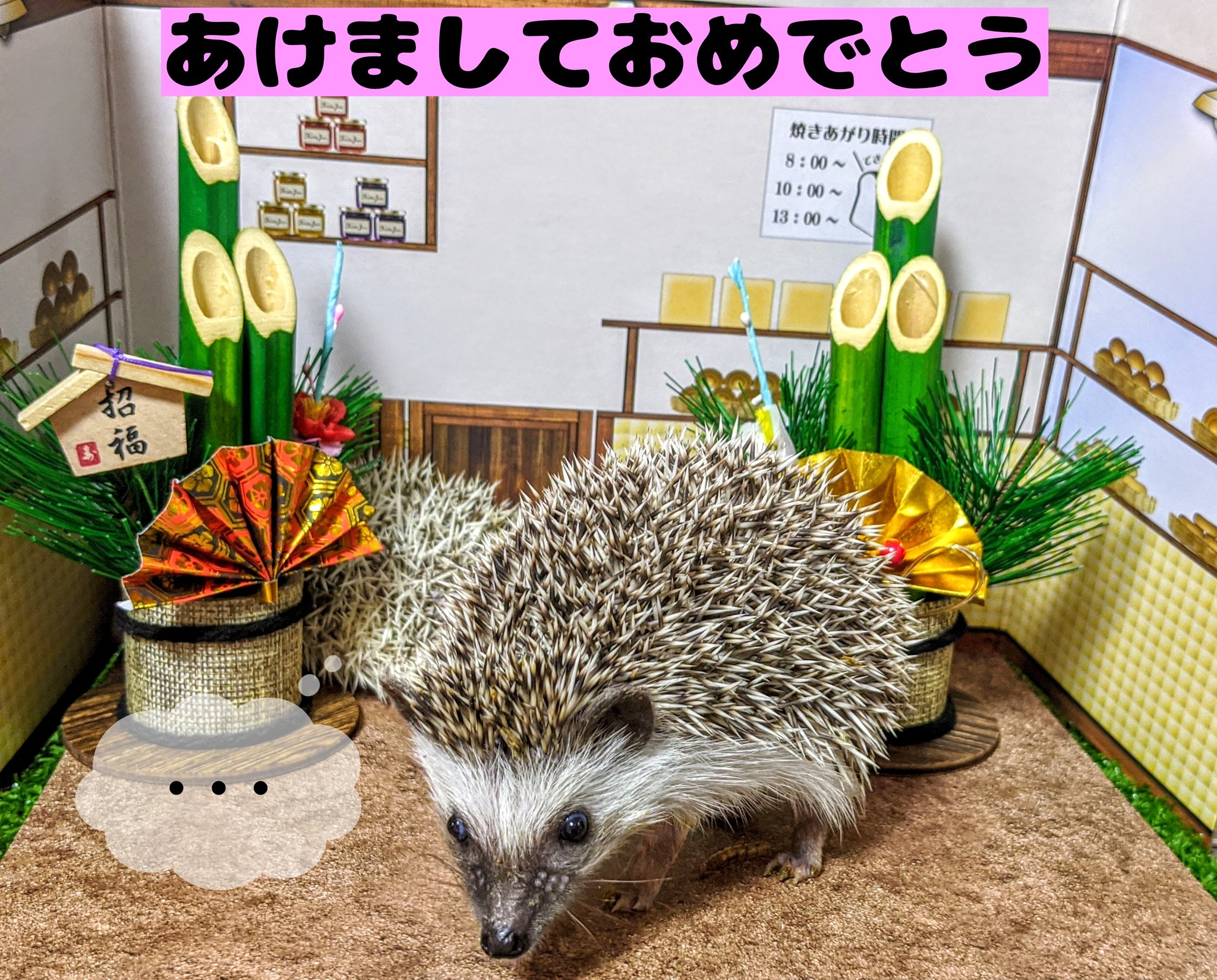 はりねずみのじかん Hari Jikan Twitter