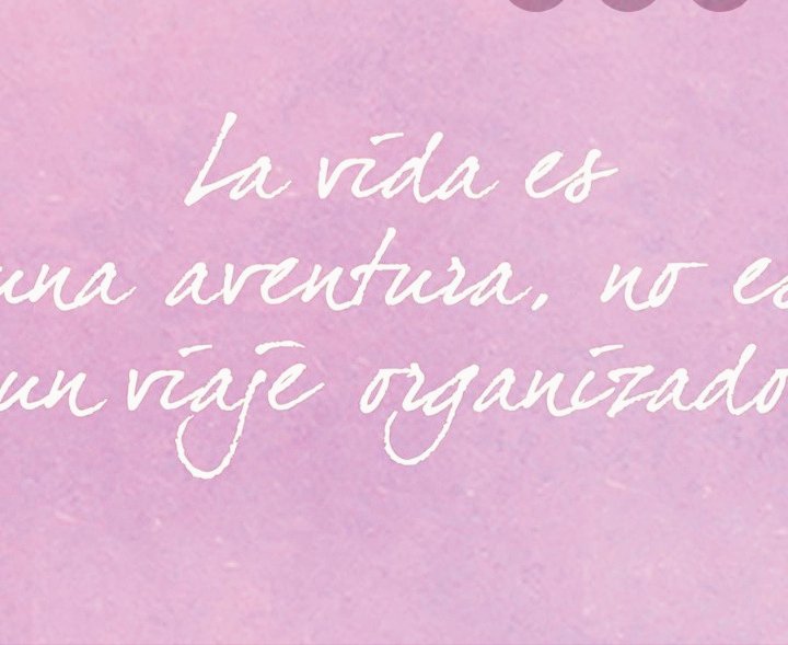 Andrea45846811's tweet photo. Buen día!!! Buen jueves...👇vivamos está hermosa aventura, así como queremos #sinprejuicios #sinbarreras #sinestructuras #buenjueves #buenajornada ❤️ https://t.co/mqBMMNH2bc