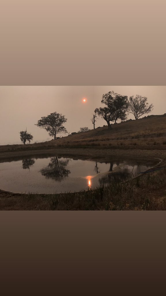 TheWiredLab's tweet photo. Evening water run for the garden = another Bushfire sunset.
On the brighter side, checked on native plantings and they are still with us, incredible resilience (+ ๐๐ฝsite prep ๐).
#droughtnsw #nswburns #australianurns #nswfires #dunnsrdfire #pleaserain #2ndlastdamwithwater https://t.co/HI1CdFANT7