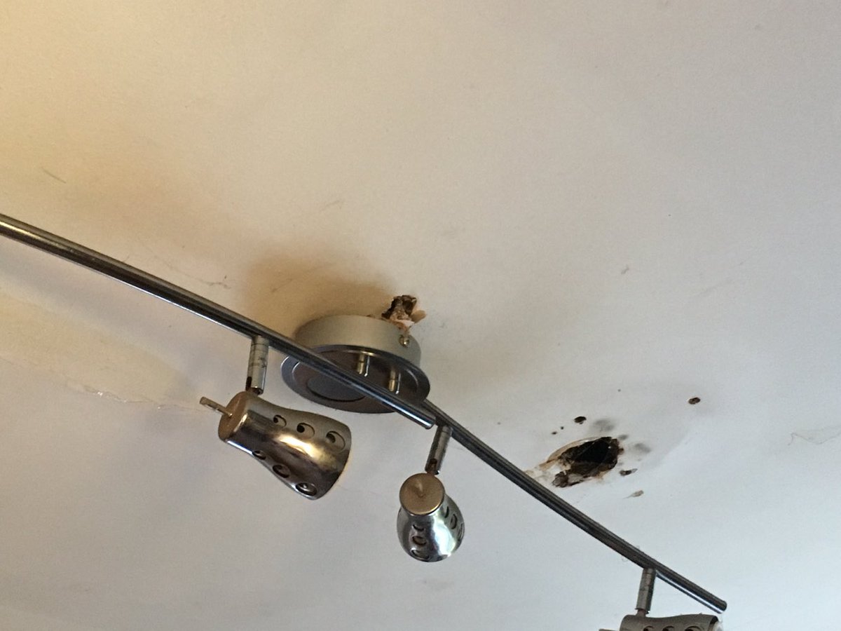 k_nico82's tweet photo. So this is the state my wanker of an ex left my house in 🤬🤬 anyone got any advice on what I should do?? Other than killing him https://t.co/mriLuEPkrU