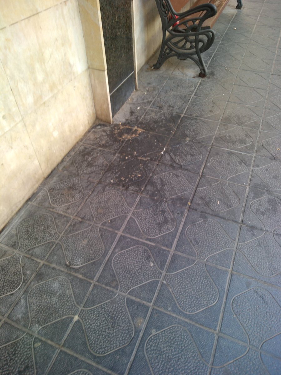 <a href="/AssembleaT/">Assemblea per Tarragona</a> <a href="/TGNAjuntament/">Ajuntament de Tarragona</a> <a href="/AchonOriol/">Oriol Achon Fernande</a> <a href="/joanjordi98/">Joan Jordi Abentín 💙🇪🇺🇺🇦</a> @LlorachAlba <a href="/per_ebre/">Assemblea per Terres de l'Ebre</a> <a href="/denuncia_TGN/">DenunciaTgn</a> <a href="/mundodesofia54/">Francisca Pino</a> <a href="/AssembleaXSalou/">Assemblea per Salou</a> Es una vergonya! Els carrers bruts i amb vòmits!!