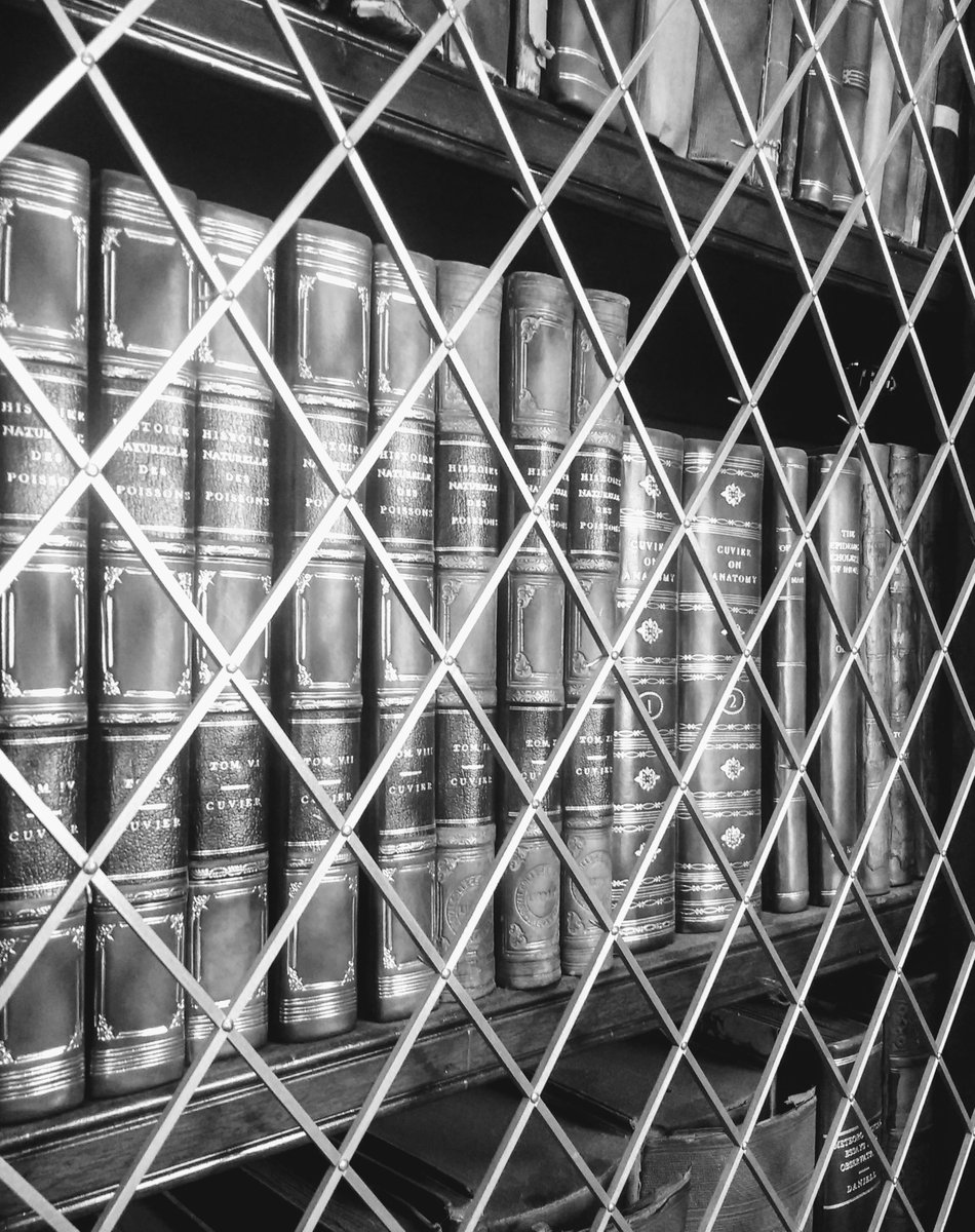 RCPIArchive's tweet photo. @RCPI_news @No6KildareSt @profmaryhorgan @DeclanWarde @CHOMIreland @HSTMNetwork @MedicalIrish We also had a busy year of cataloguing. In 2019 we added 1527 records to our library catalogue, mostly thanks to the hard work of our lovely intern Claire (@cl4ireon ).
We now have just over 14,000 catalogued books in the library, about half the collection 
#lotsdonemoretodo https://t.co/HXoDGiEtRM