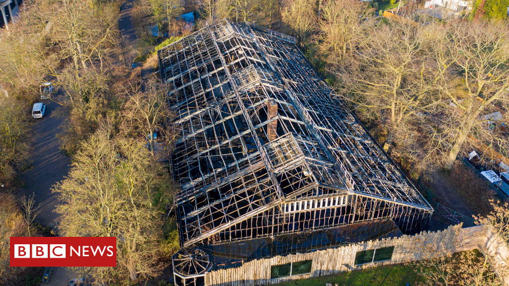 burnt out zoo building