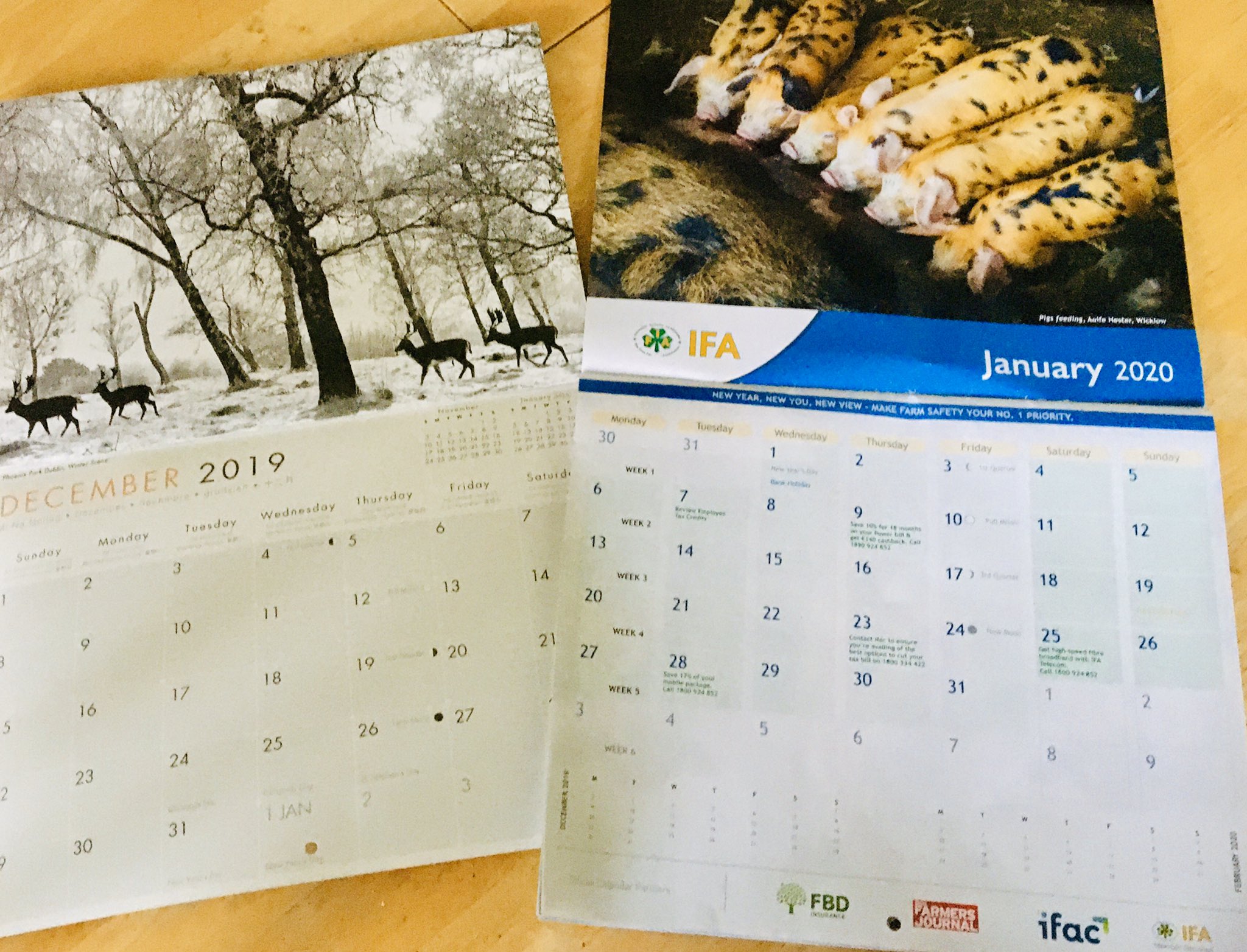 Roisin Ni H Heideain Turning The Page On The New Decade But Some Things Stay The Same Animals Decorating The Kitchen Ifamedia Farmersjournal Fbd Ie newyear T Co 21mfqdarf6