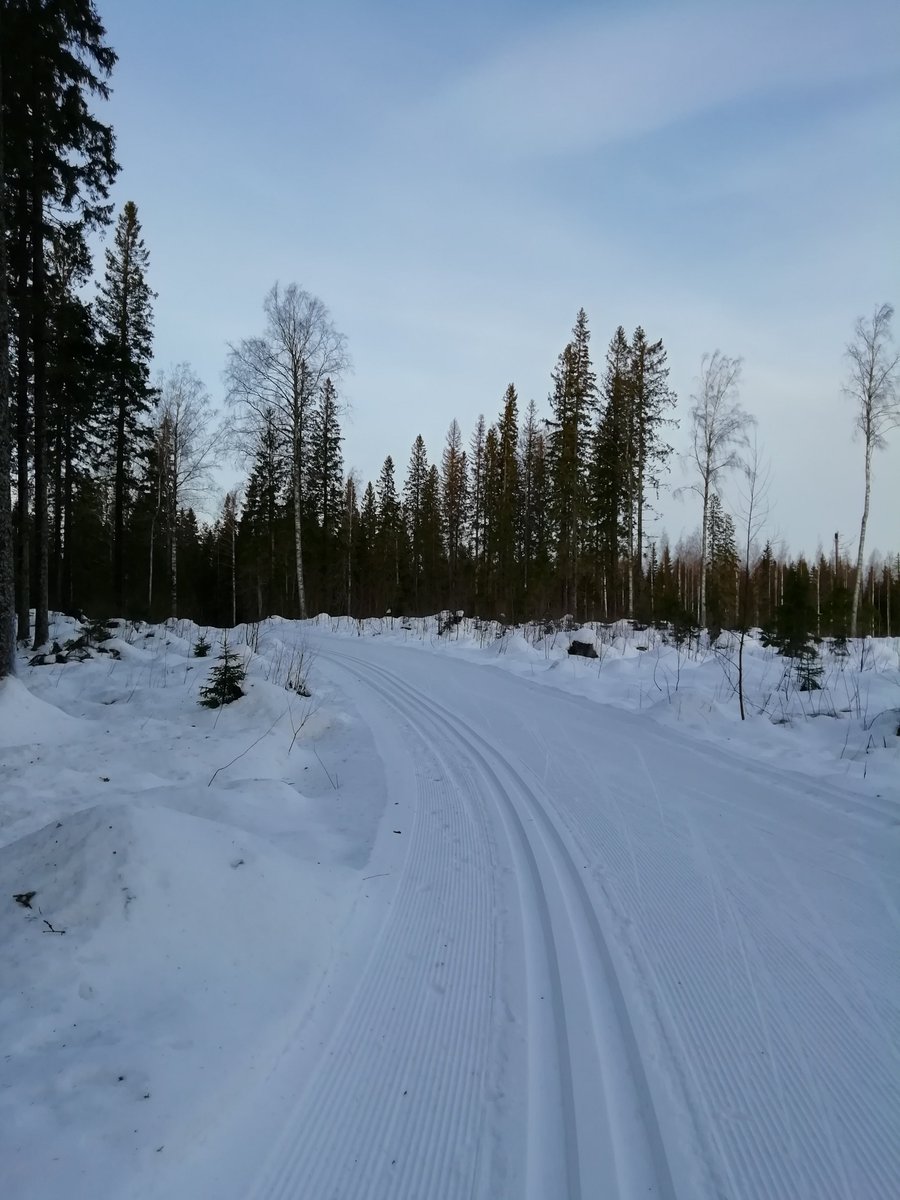 MarjaanaPitk's tweet photo. Ei ollut loskakelistä tänään tietoa, kun valitsi reittinsä oikein😊❄️🎿 #puijo #luntaon https://t.co/Nc37uEH5G3