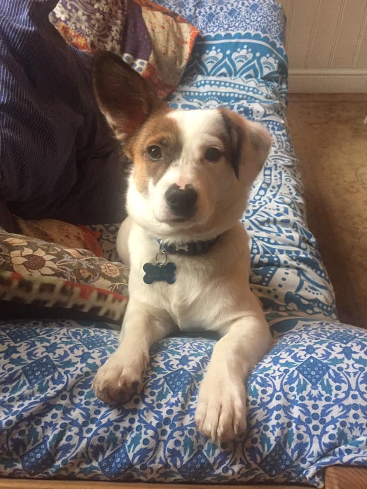 Ali Skuse tweet media