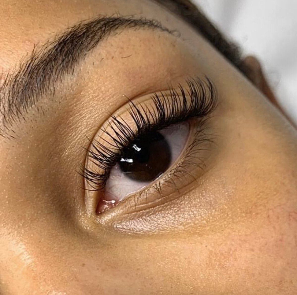 LashPerfect's tweet photo. A stunning set of flat lashes to start 2020 right😍
#LashPerfect #LashExtensions #LashTech #LPLashArtist 💕 https://t.co/fmpy4RO1hM
